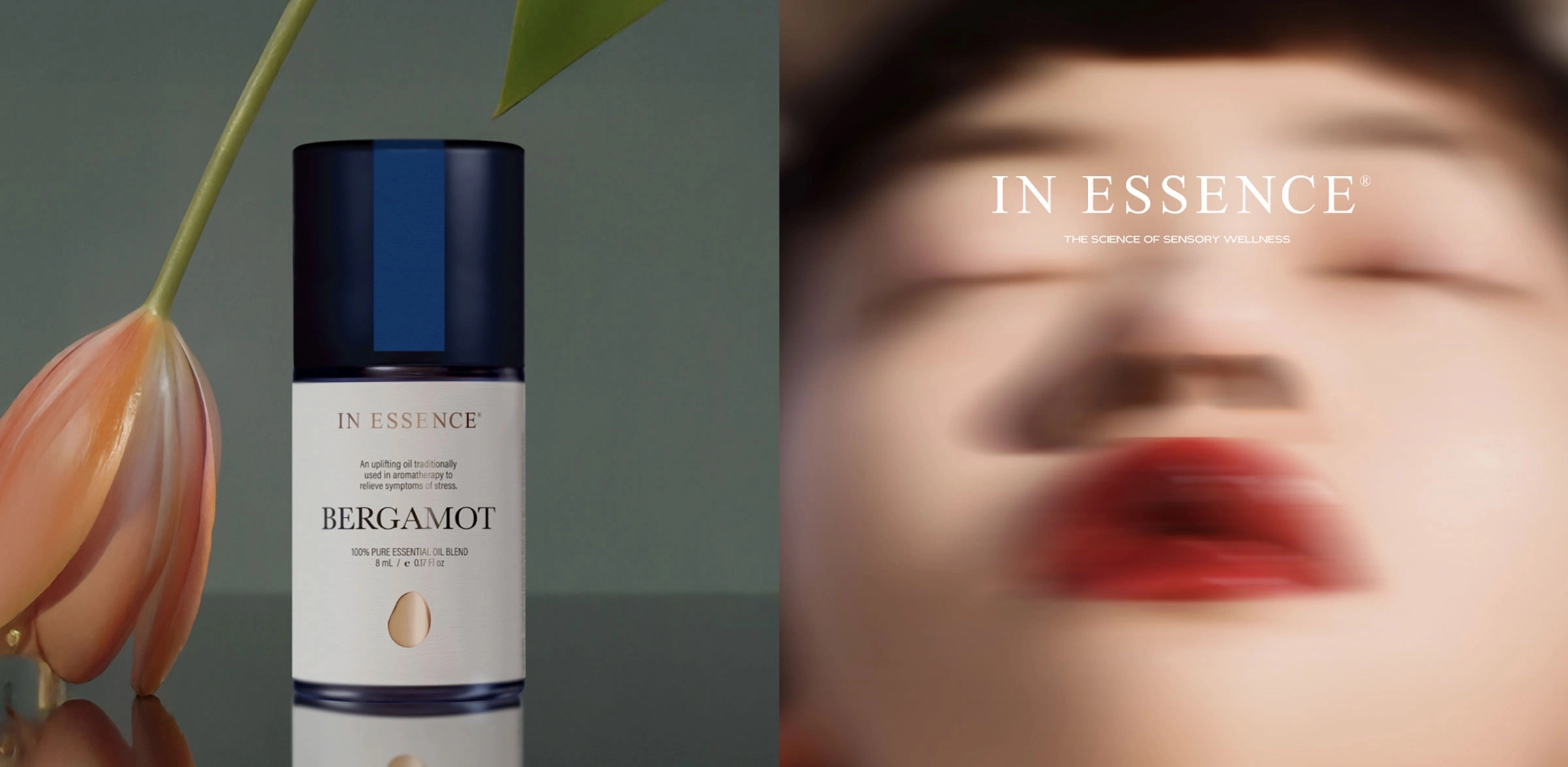 Ludbrook-Agency-Branding-In-Essence-33