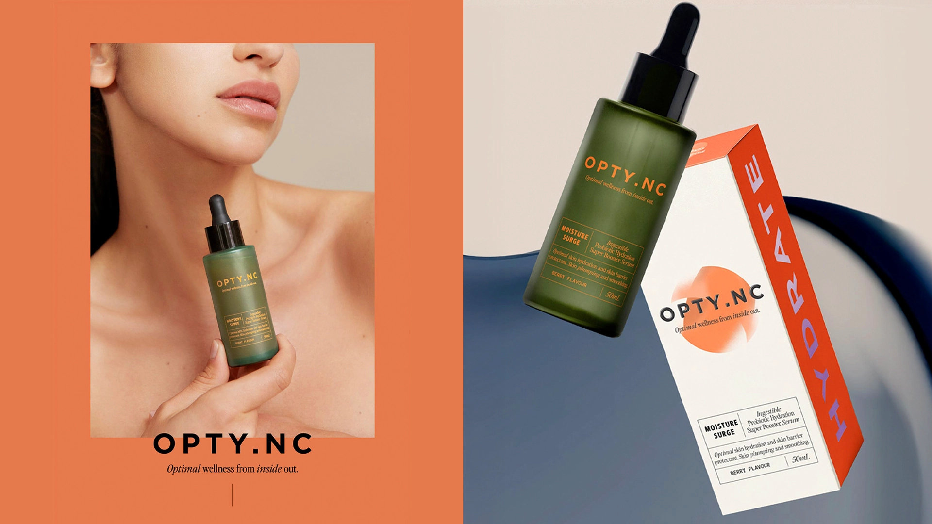 Ludbrook-Agency_Wellness-Proposal-Banner_OPTY-NC