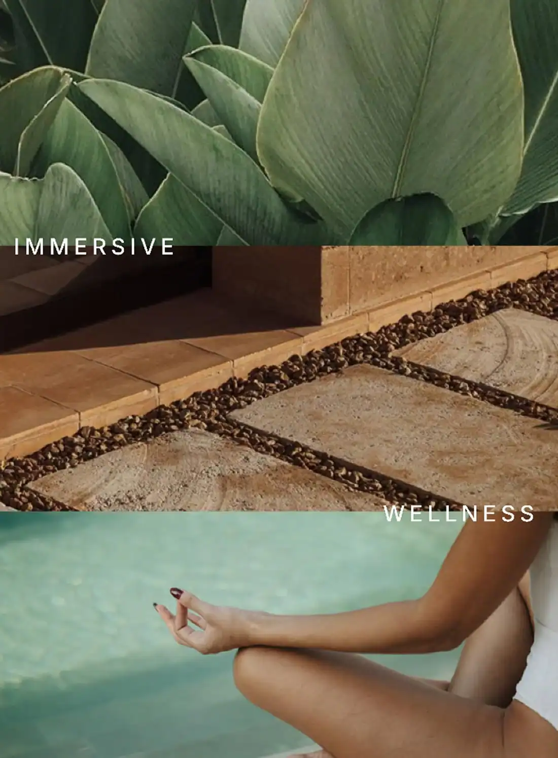ludbrook-agency-mana-sanctuary-wellness-branding_and-website_01c