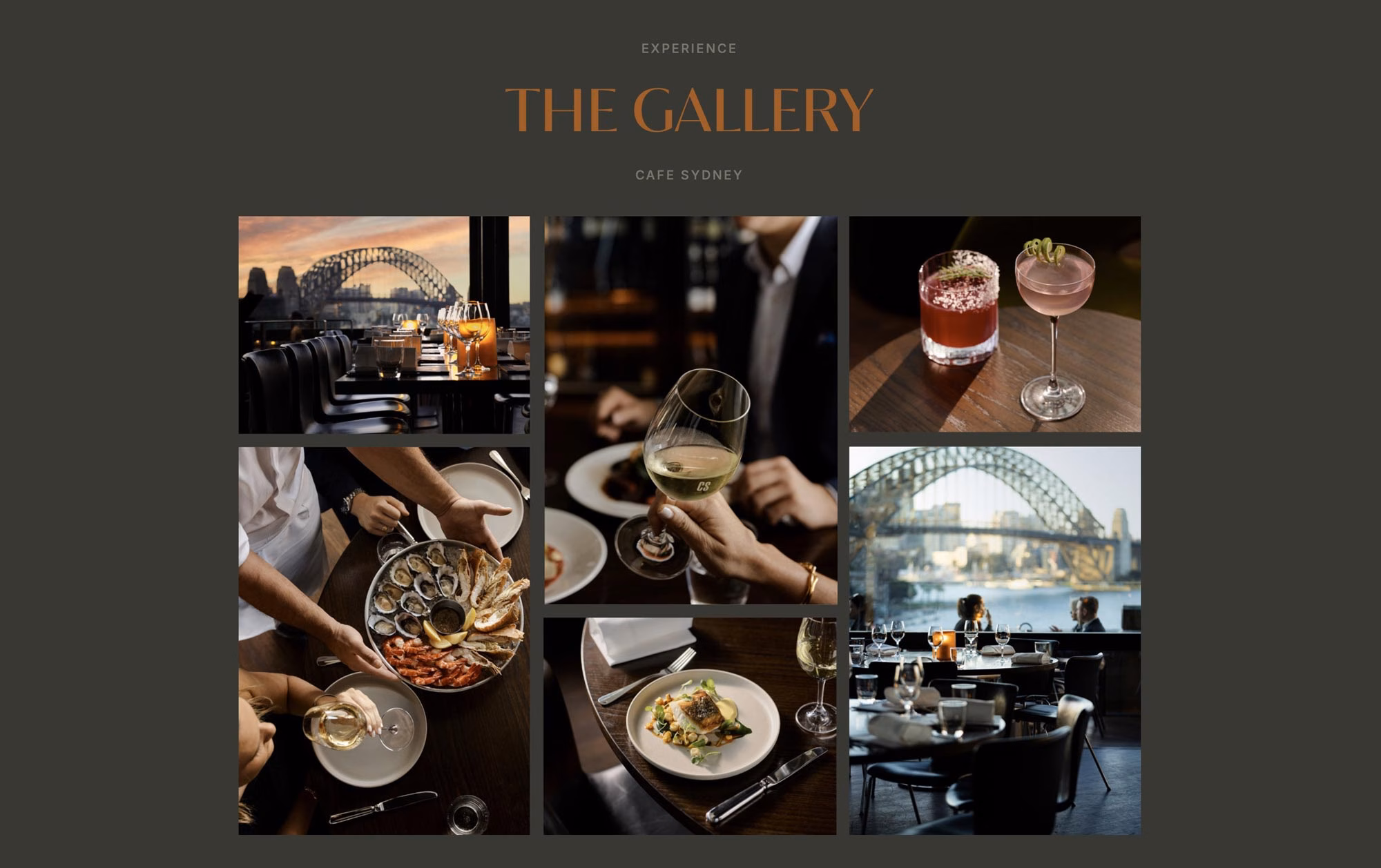 Café Sydney - gallery section of website by Ludbrook Agency