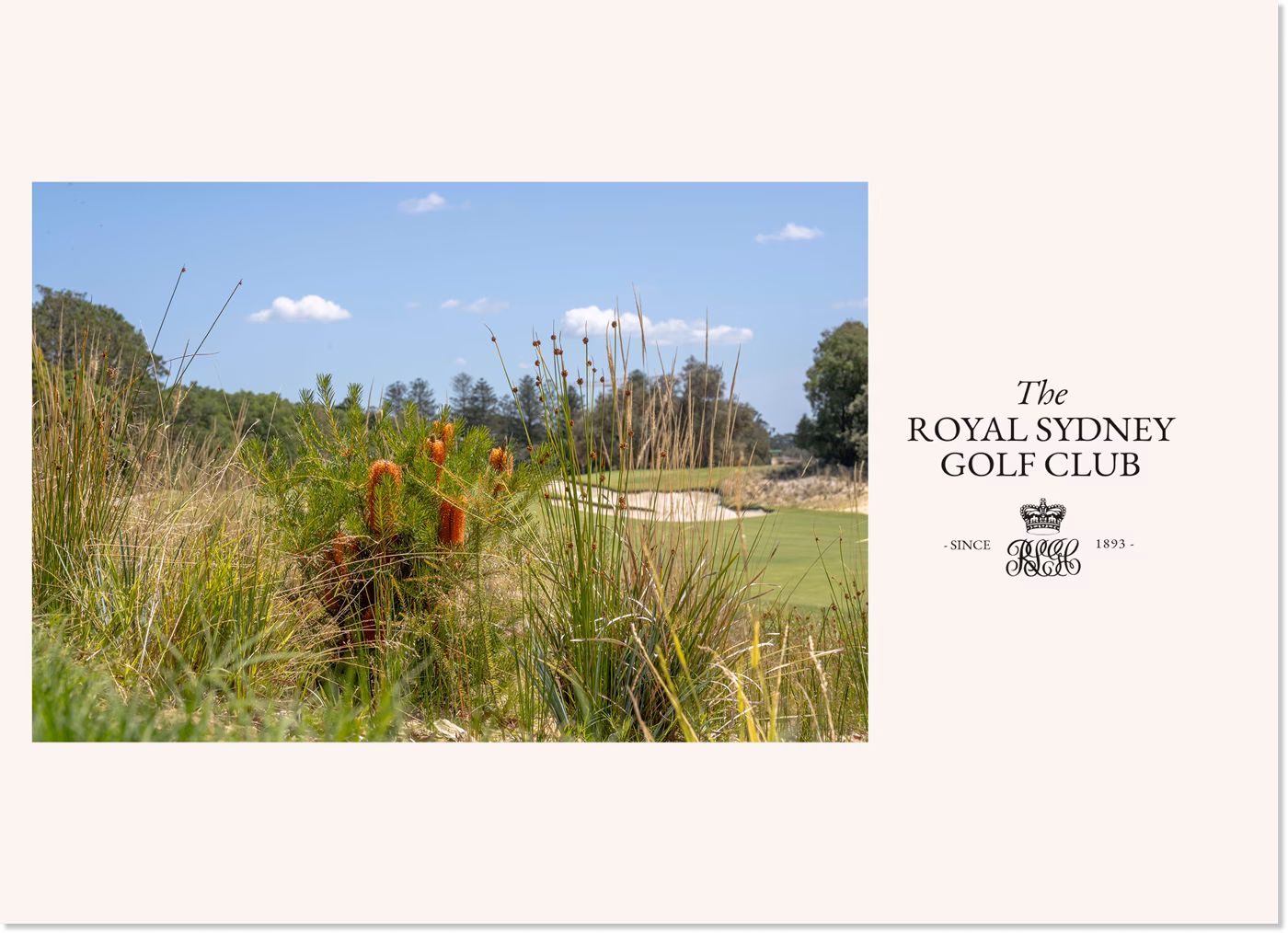The Royal Sydney Gold Club brand refresh 033